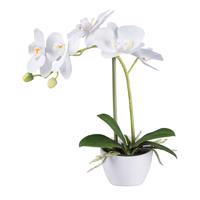 Gasper Orchidej v bílé melaminové nádobě, 33 cm, bílá ""