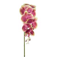 Gasper Umělá orchidej 3D stvol, 87 cm