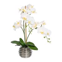 Gasper Umělá orchidej s 9 LED, krémová, 60 cm