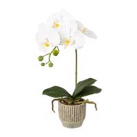 Gasper Umělá orchidej v keramickém květináči, 36 cm, bílá