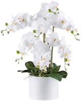 Gasper Umělá orchidej v keramickém květináči, 60 cm, bílá