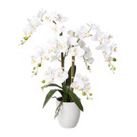 Gasper Umělá orchidej v keramickém květináči, 67 cm, bílá