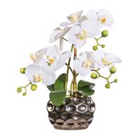 Gasper Umělá orchidej v oválné váze, 30 cm, bílá