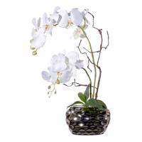 Gasper Umělá orchidej v oválné váze, 55 cm, bílá