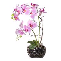 Gasper Umělá orchidej v oválné váze, 55 cm, růžová