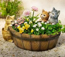 Weltbild Květináč Kočičí přátelé